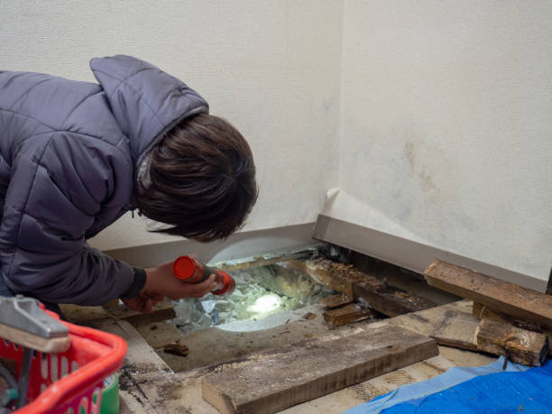 Best Dehumidification Services  in Sheboygan Falls, WI