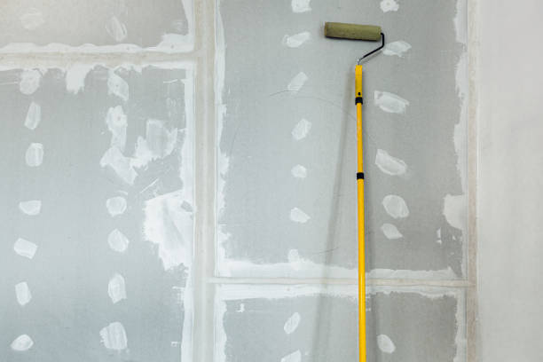 Best HVAC Mold Inspection and Cleaning  in Sheboygan Falls, WI