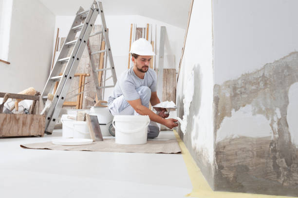 Best Attic Mold Removal  in Sheboygan Falls, WI