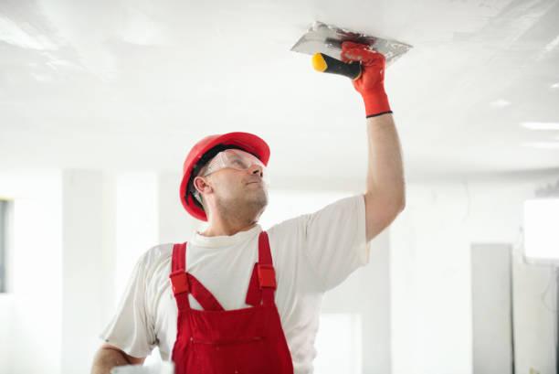 Best Flood Damage  in Sheboygan Falls, WI