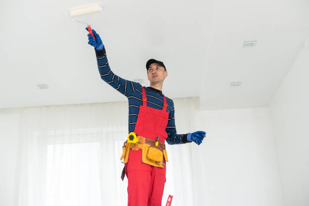 Best Basement Mold Removal  in Sheboygan Falls, WI