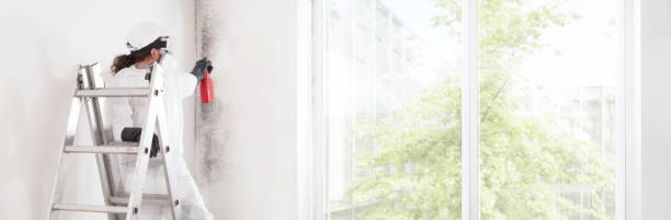 Best Emergency Mold Remediation  in Sheboygan Falls, WI