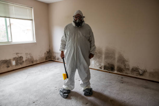 Best Post-Remediation Verification Testing  in Sheboygan Falls, WI