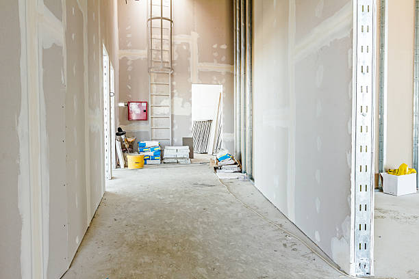 Best Comprehensive Air Testing for Mold Contaminants  in Sheboygan Falls, WI